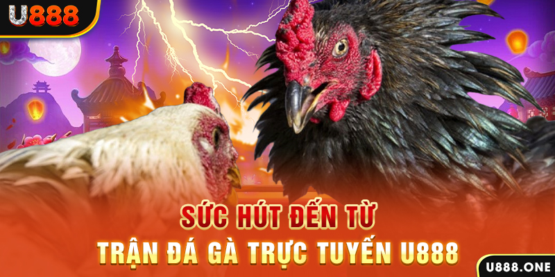 shbet16 đá gà trực tiếp c1