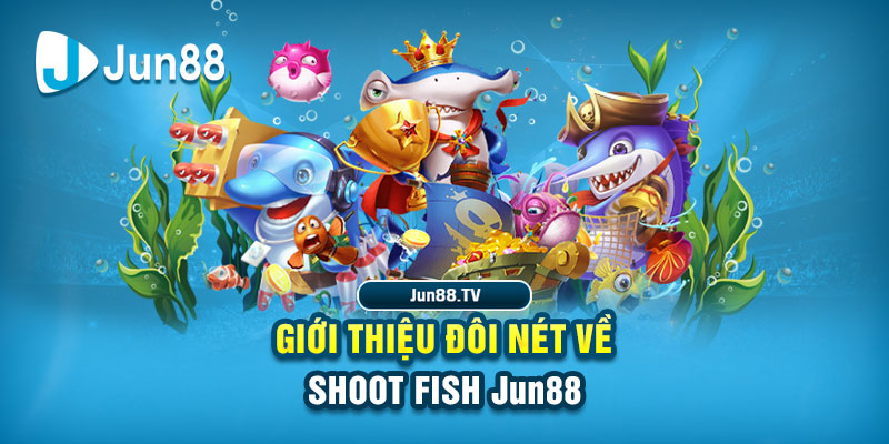 shbet16 đá gà