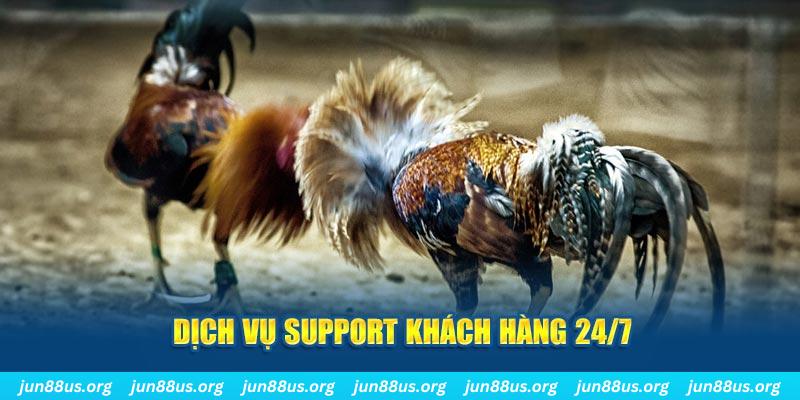 shbet16 ÁT CHỦ BÀI GIÀNH LẤY ZHUANG NIUNIU ( XEM 4 LÁ )