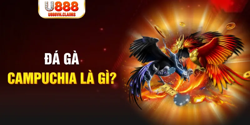 shbet16 bắn cá vàng h5