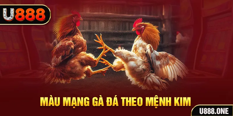 shbet16 Cỡ bảy