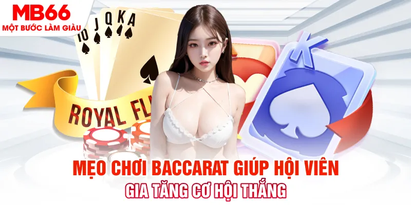 shbet16 Cuộc gọi đã bị ngắt