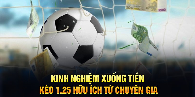 shbet16 TCG Xổ Số
