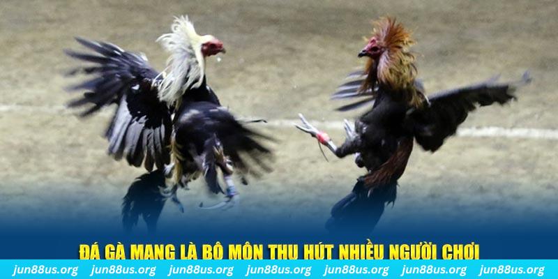 shbet16 bắn cá au88