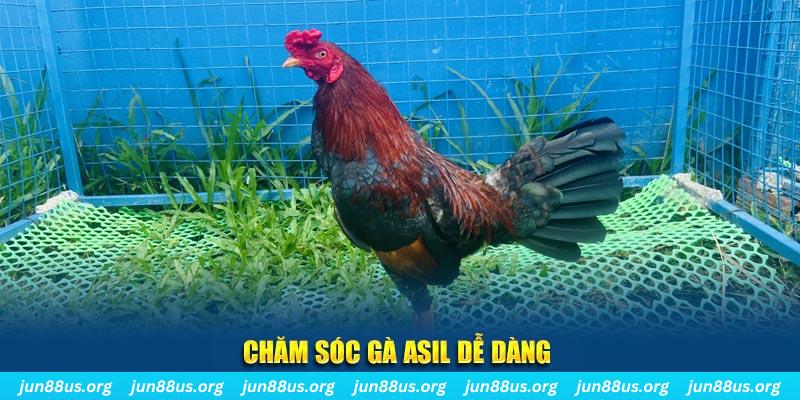 shbet16 game bài là gì