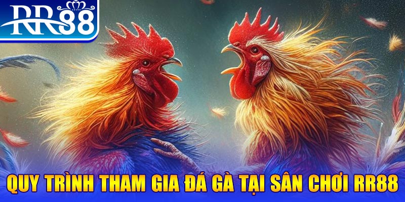 shbet16 đá gà cam 67