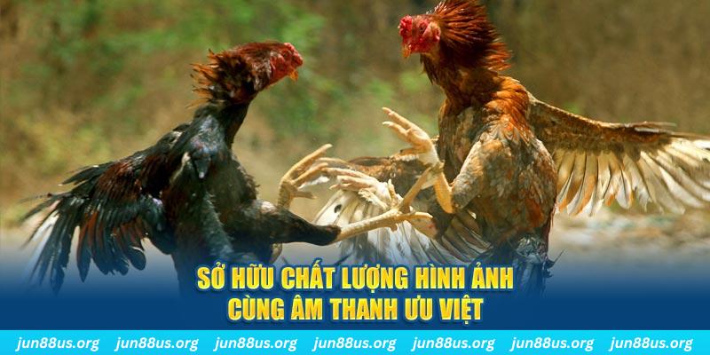shbet16 PP Điện Tử