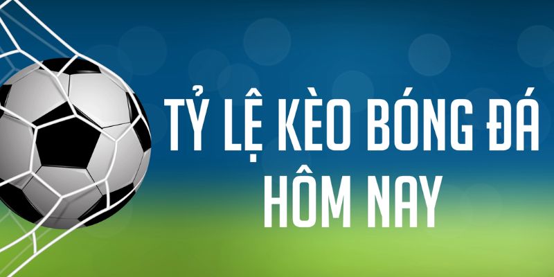 shbet16 gà chọi c1 mới nhất