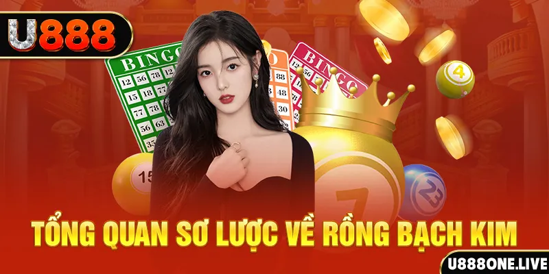 shbet16 hũ 8 bit nổ như thế nào