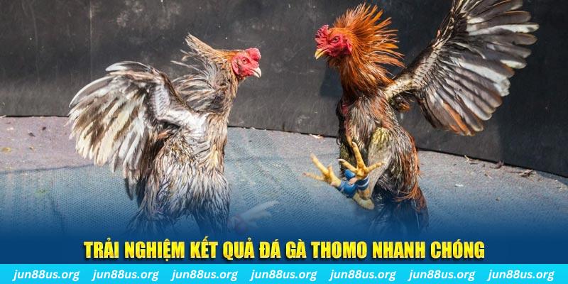 shbet16 tai game danh bai bigkool ve may tinh