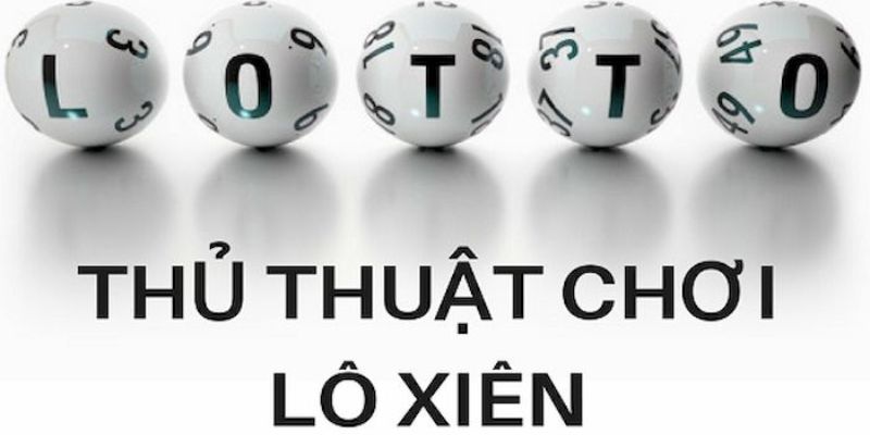shbet16 trực tiếp đá gà thomo