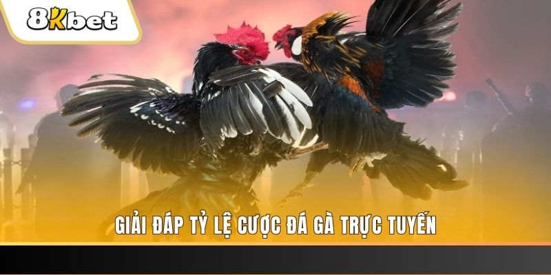 shbet16 xổ số đài miền trung