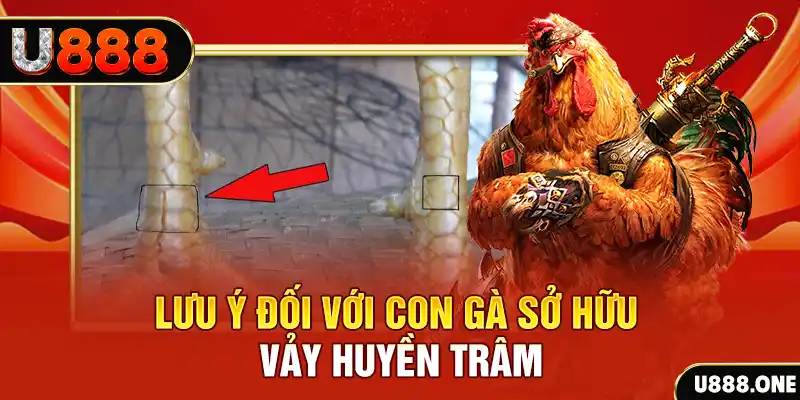 shbet16 kết quả xổ số miền nam hôm nay