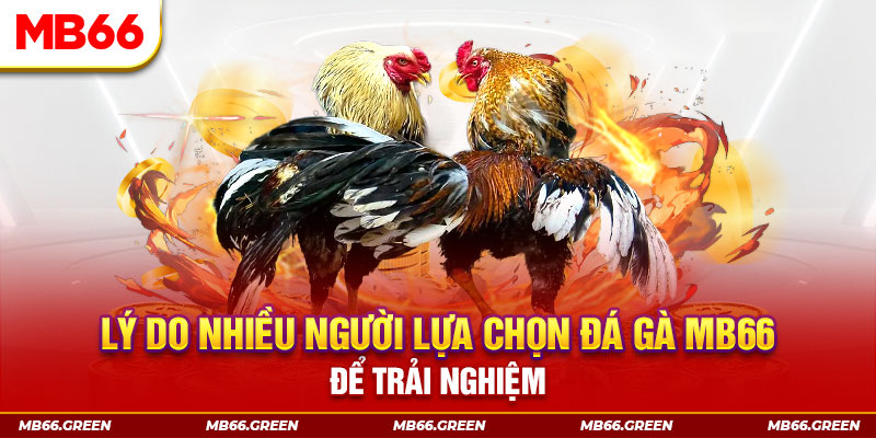 shbet16 xổ số miền bắc thứ bảy hàng tuần