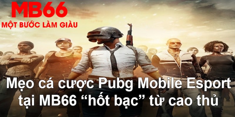 shbet16 VA Bắn cá
