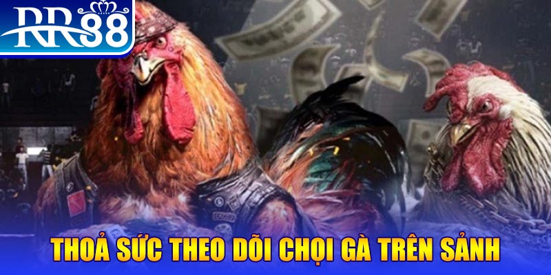 shbet16 Bài Poker Joker