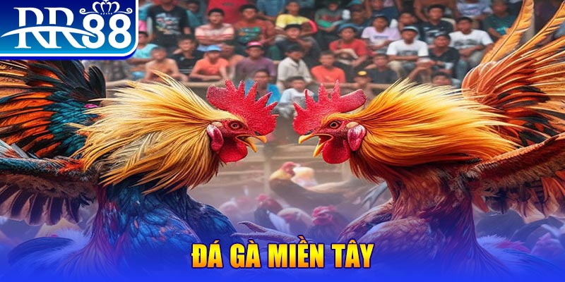 shbet16 no hu doi thuong ai