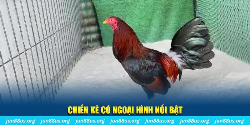 shbet16 game nổ hũ là gì